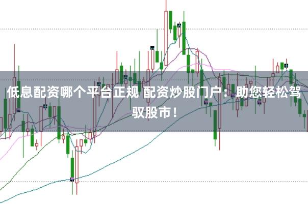 低息配资哪个平台正规 配资炒股门户：助您轻松驾驭股市！