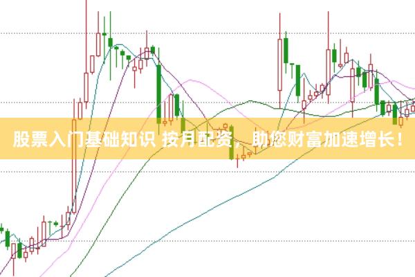 股票入门基础知识 按月配资，助您财富加速增长！