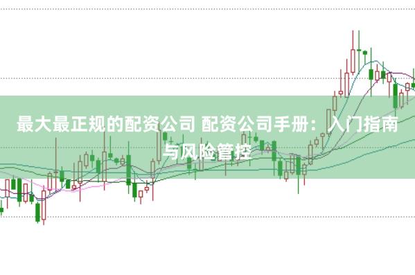 最大最正规的配资公司 配资公司手册：入门指南与风险管控