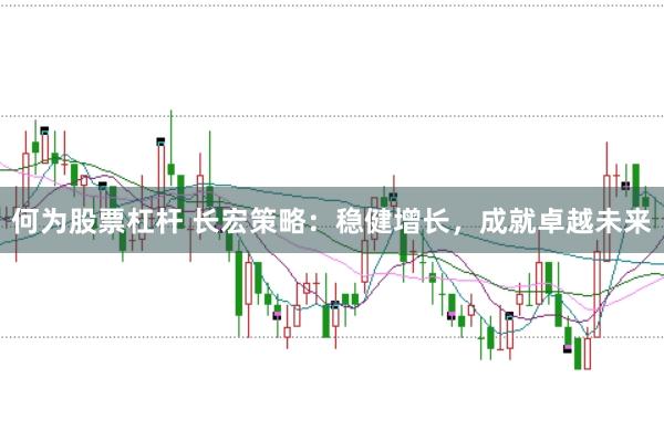 何为股票杠杆 长宏策略：稳健增长，成就卓越未来