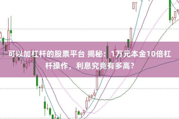 可以加杠杆的股票平台 揭秘：1万元本金10倍杠杆操作，利息究竟有多高？