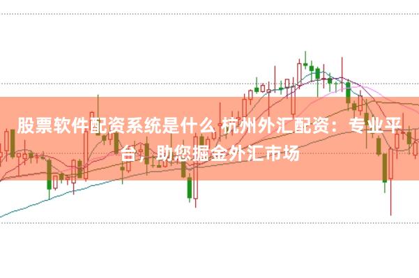 股票软件配资系统是什么 杭州外汇配资：专业平台，助您掘金外汇市场