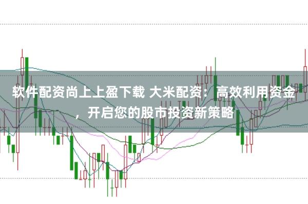 软件配资尚上上盈下载 大米配资：高效利用资金，开启您的股市投资新策略