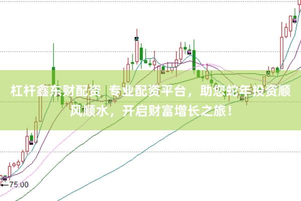 杠杆鑫东财配资  专业配资平台，助您蛇年投资顺风顺水，开启财富增长之旅！