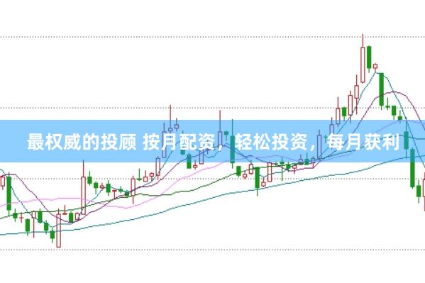 最权威的投顾 按月配资，轻松投资，每月获利