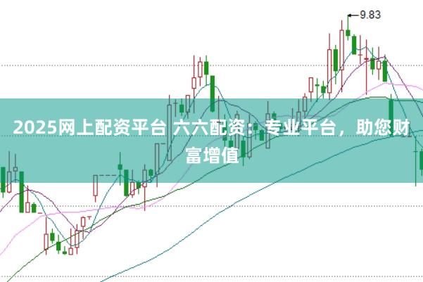 2025网上配资平台 六六配资：专业平台，助您财富增值