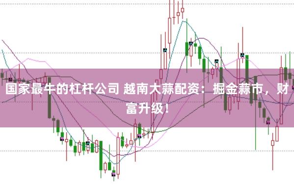 国家最牛的杠杆公司 越南大蒜配资：掘金蒜市，财富升级！