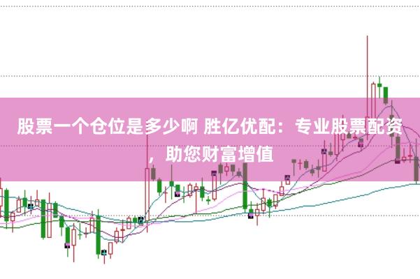 股票一个仓位是多少啊 胜亿优配：专业股票配资，助您财富增值