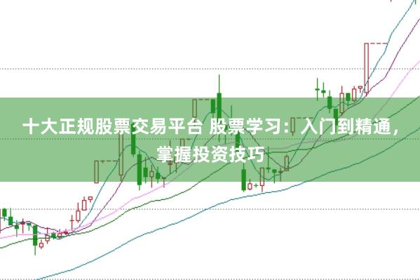 十大正规股票交易平台 股票学习：入门到精通，掌握投资技巧