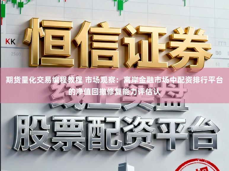 期货量化交易编程教程 市场观察：离岸金融市场中配资排行平台的净值回撤修复能力评估认