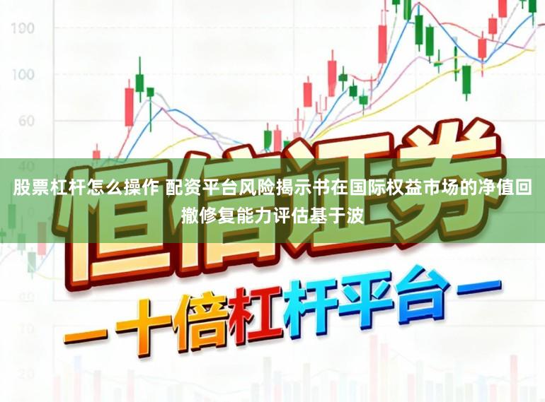 股票杠杆怎么操作 配资平台风险揭示书在国际权益市场的净值回撤修复能力评估基于波