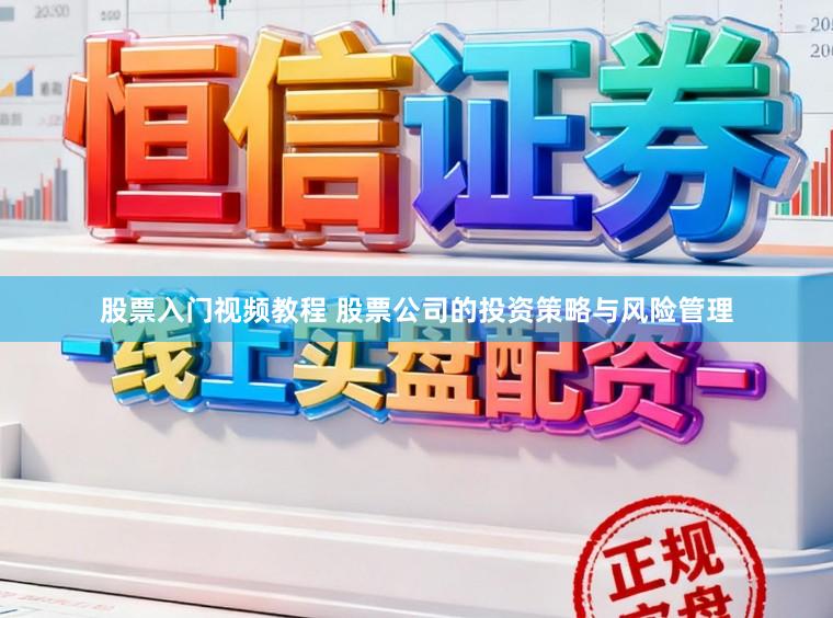 股票入门视频教程 股票公司的投资策略与风险管理