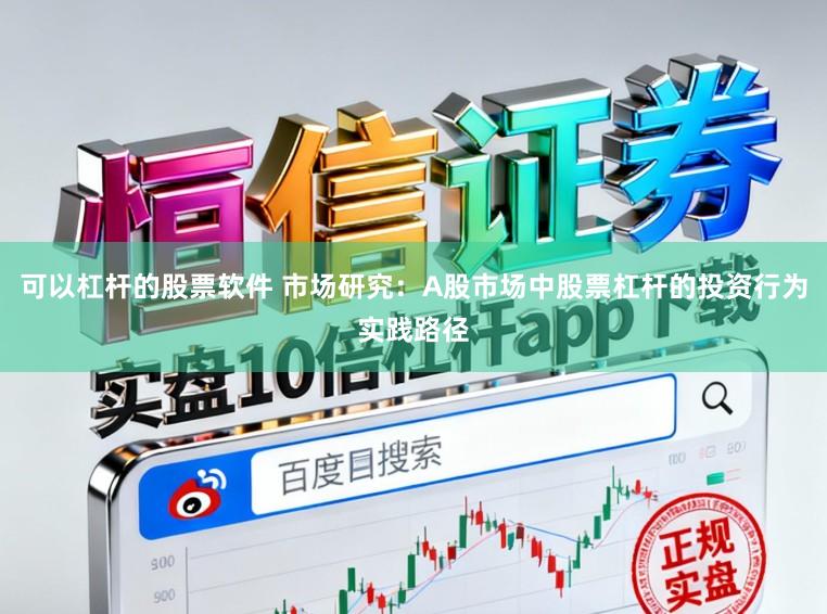 可以杠杆的股票软件 市场研究：A股市场中股票杠杆的投资行为实践路径